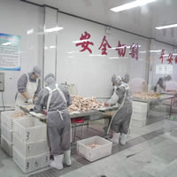 杏悦娱乐 98101